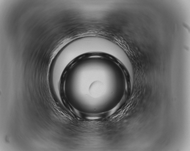 X0000098030292200803281415