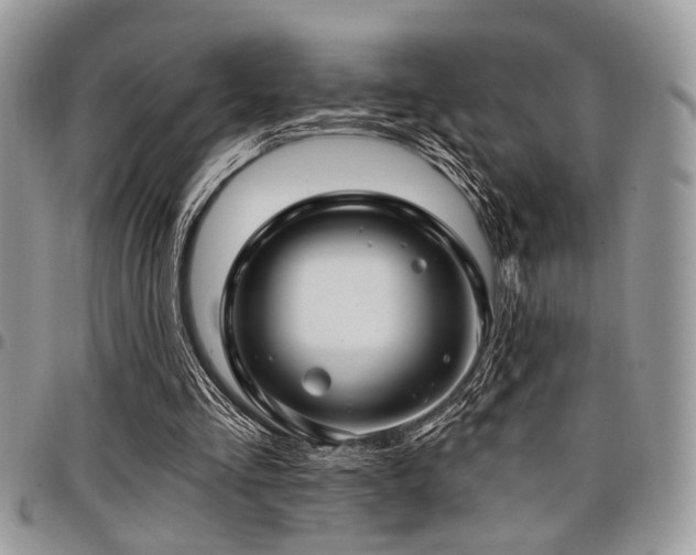 X0000098030293200803281415