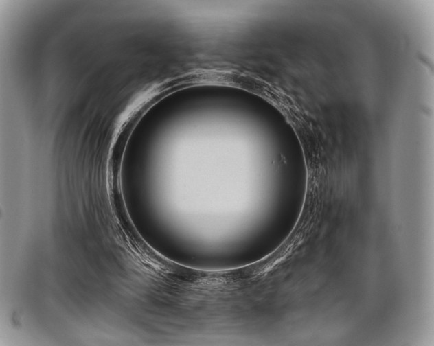 X0000098030294200803281415