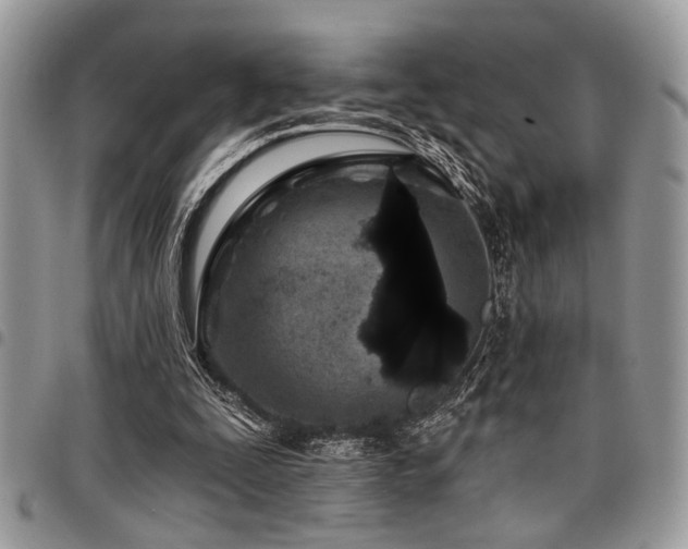 X0000098030295200803281415