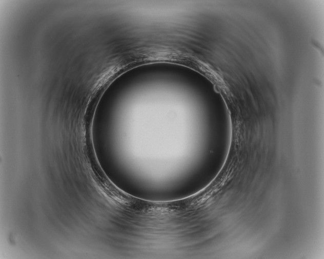 X0000098030298200803281415