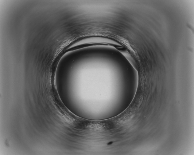 X0000098030299200803281415