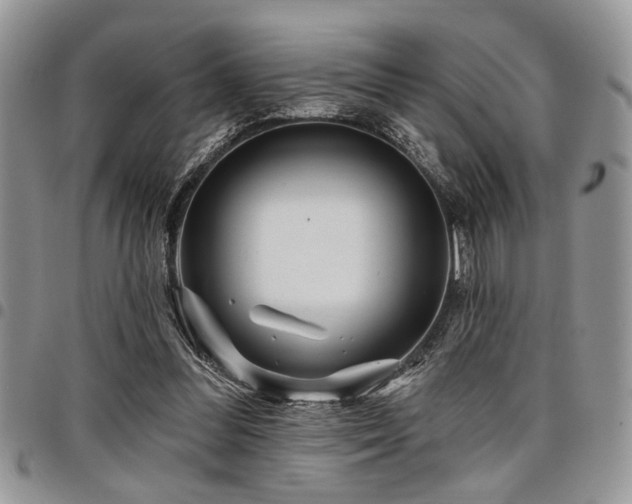 X0000098030300200803281415