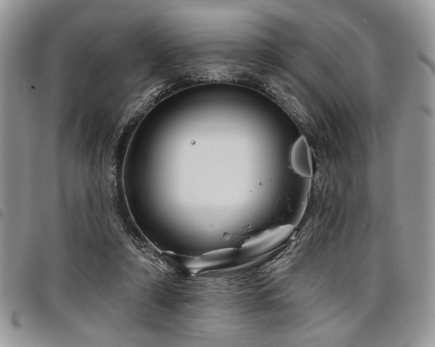 X0000098030306200803281415