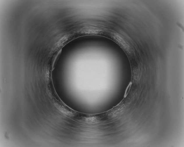 X0000098030309200803281415