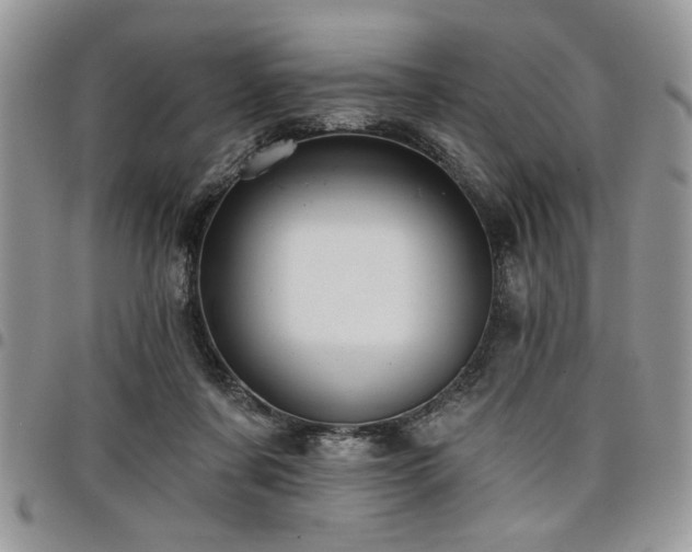 X0000098030311200803281415