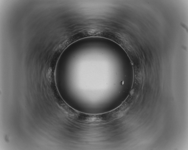 X0000098030319200803281415