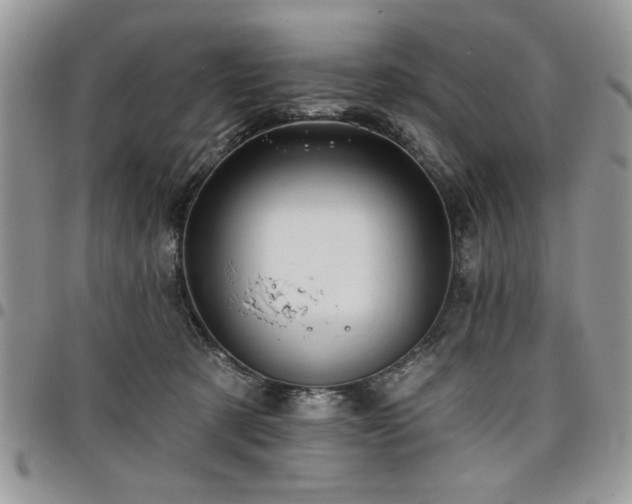 X0000098030321200803281415