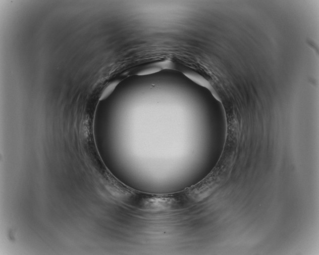 X0000098030323200803281414