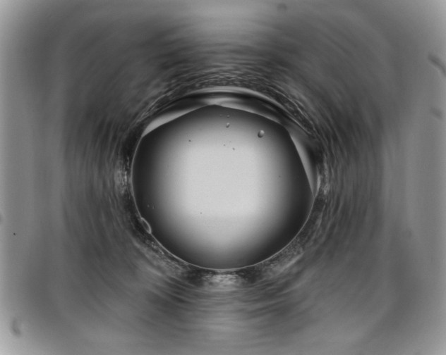 X0000098030324200803281414