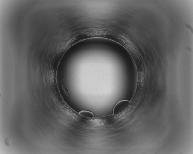 X0000098030326200803281414