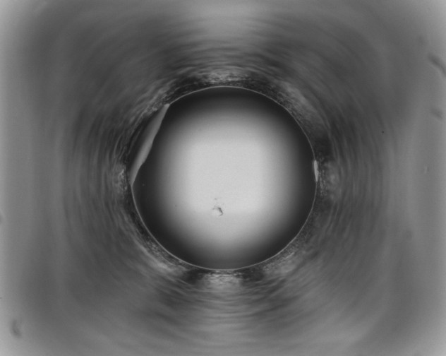 X0000098030327200803281414