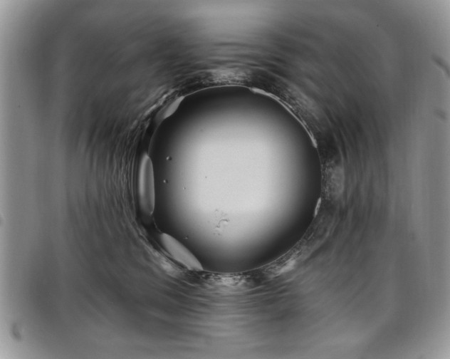 X0000098030329200803281414