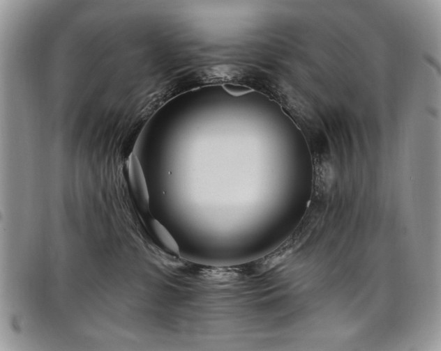 X0000098030331200803281414