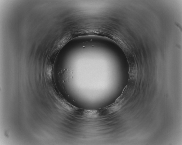 X0000098030334200803281414