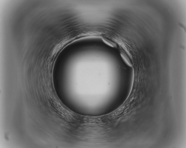 X0000098030337200803281413