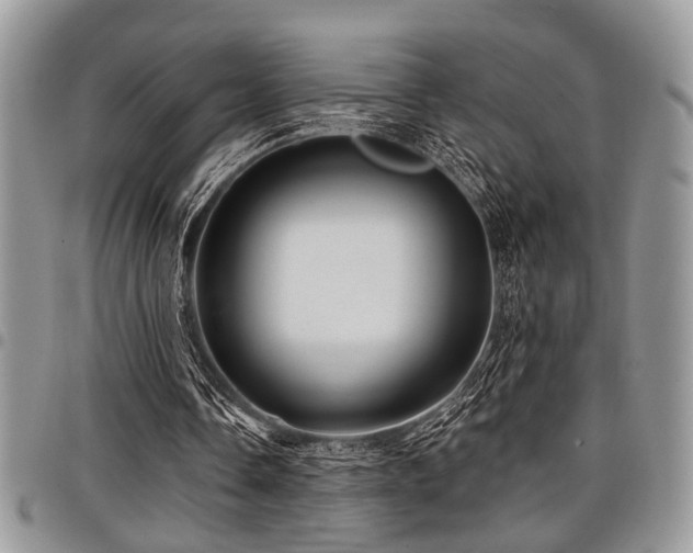 X0000098030338200803281414