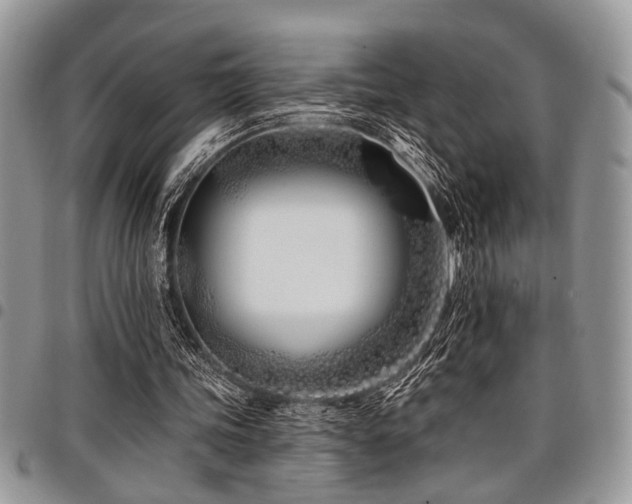 X0000098030339200803281414