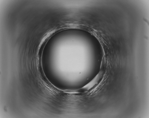 X0000098030342200803281414