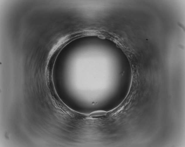 X0000098030343200803281414