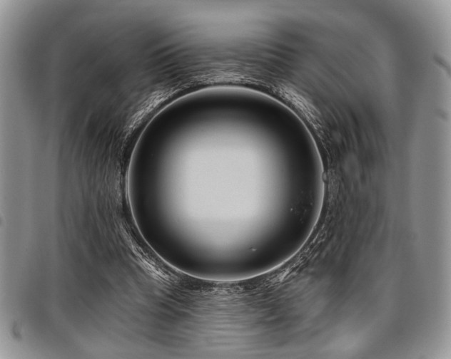 X0000098030345200803281414