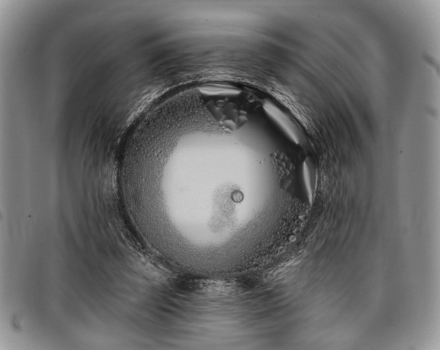 X0000098030347200803281414