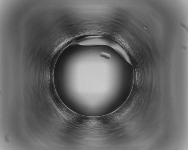 X0000098030348200803281414