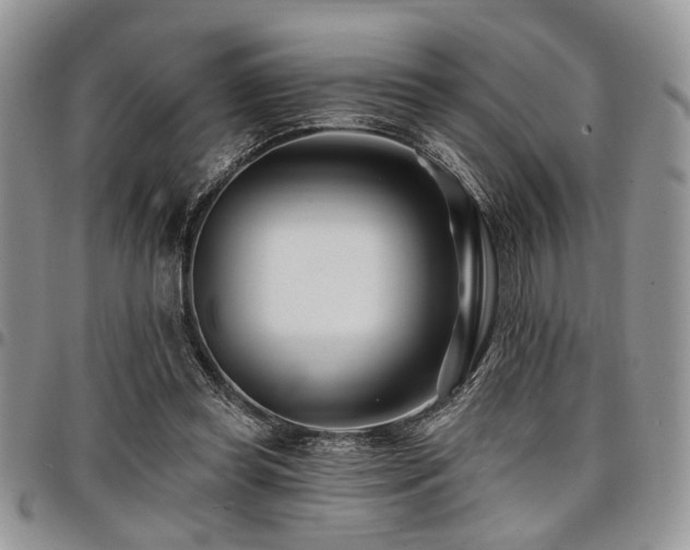 X0000098030349200803281414