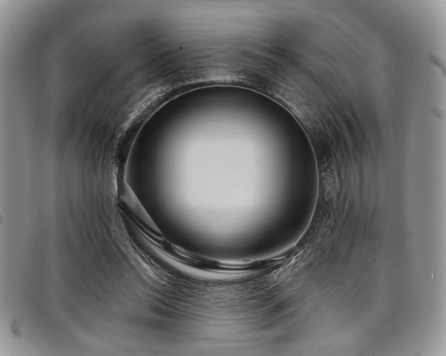 X0000098030350200803281414