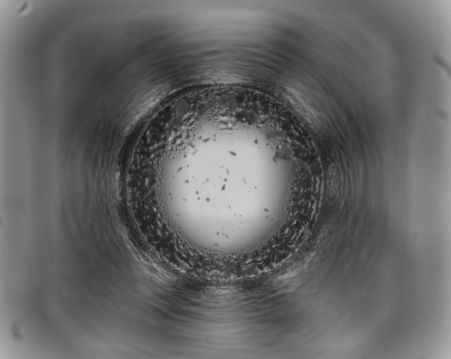 X0000098030351200803281414