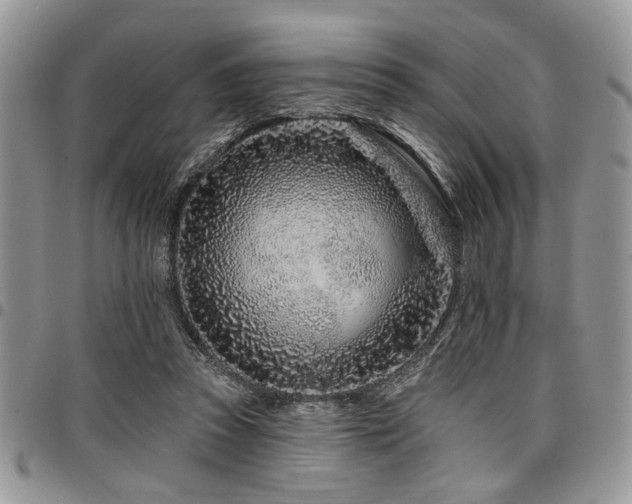 X0000098030353200803281414