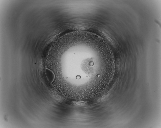 X0000098030359200803281414