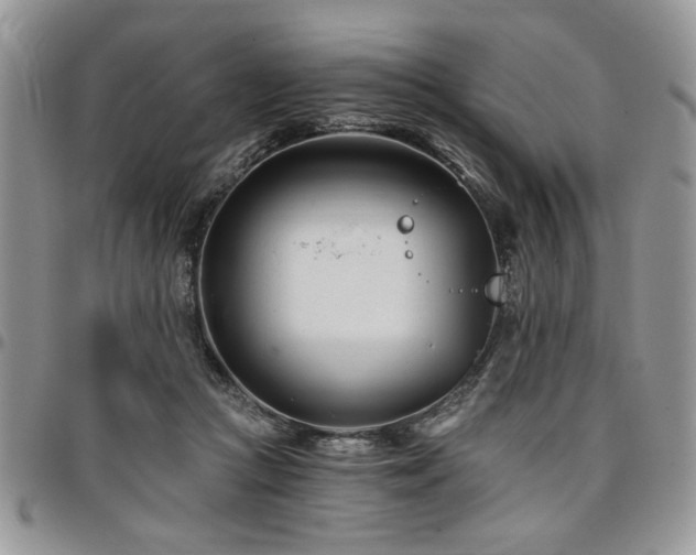 X0000098030361200803281414