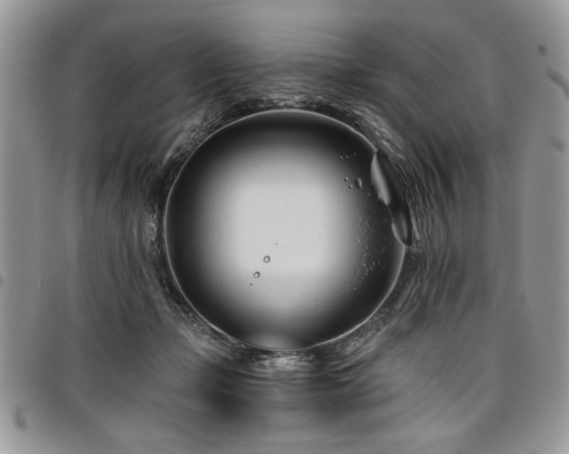 X0000098030365200803281414