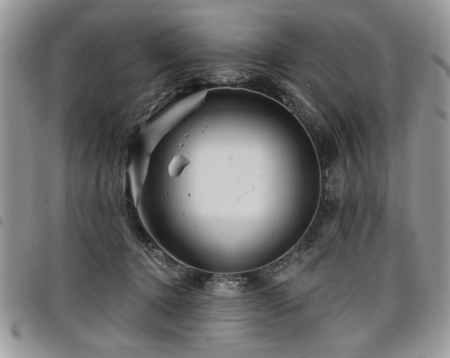 X0000098030368200803281414