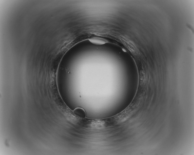 X0000098030369200803281414