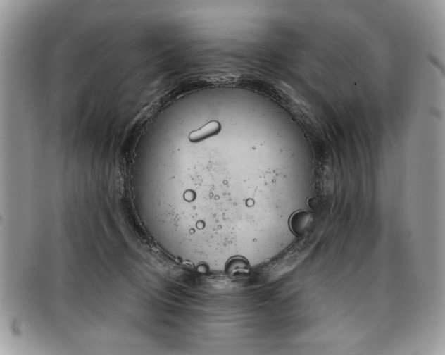 X0000098030370200803281414