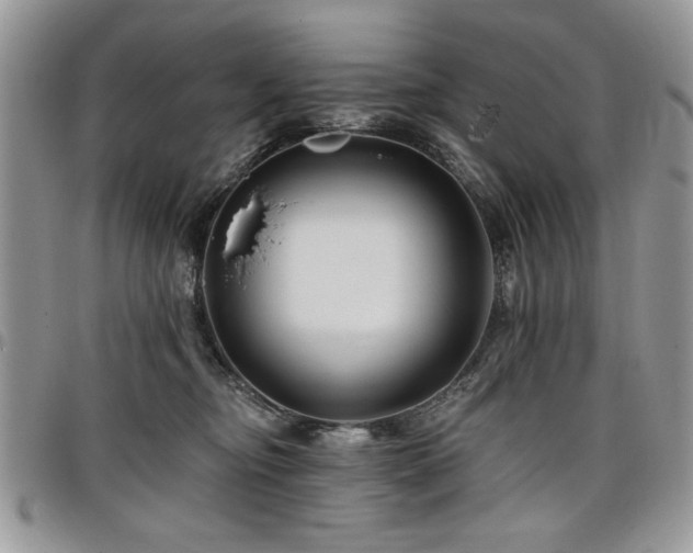 X0000098030374200803281414