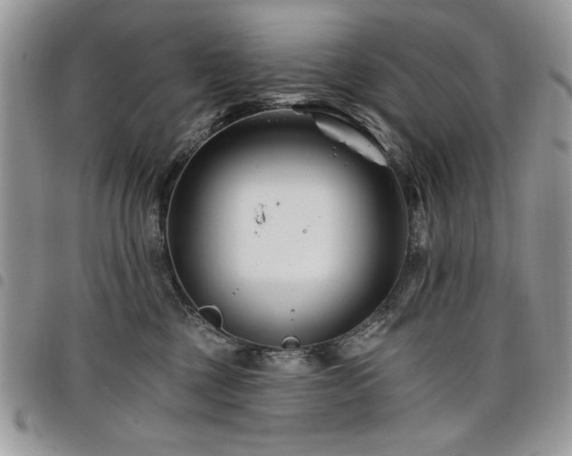 X0000098030377200803281414