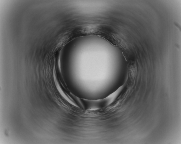 X0000098030380200803281414