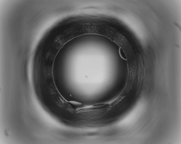 X0000098030383200803281414