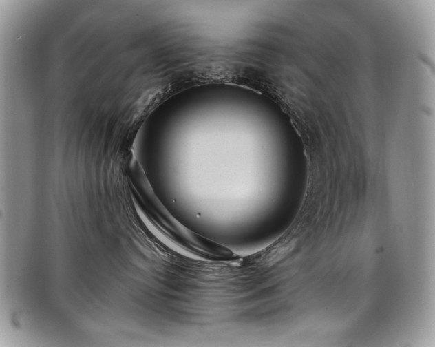 X0000098030384200803281414