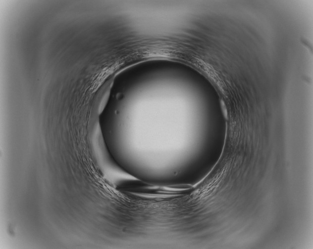 X0000098030385200803281413