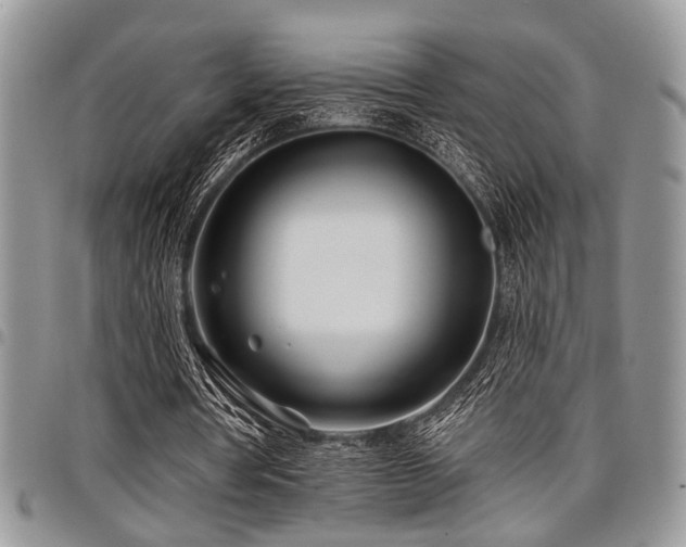 X0000098030386200803281413