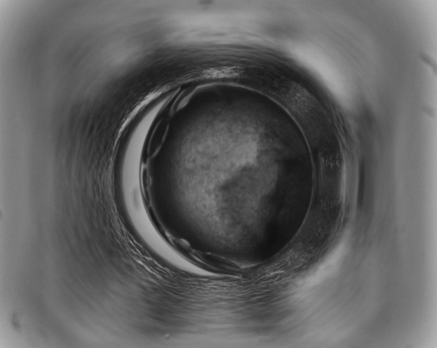 X0000098030387200803281413