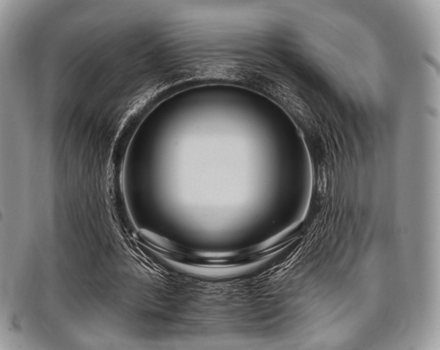 X0000098030388200803281413