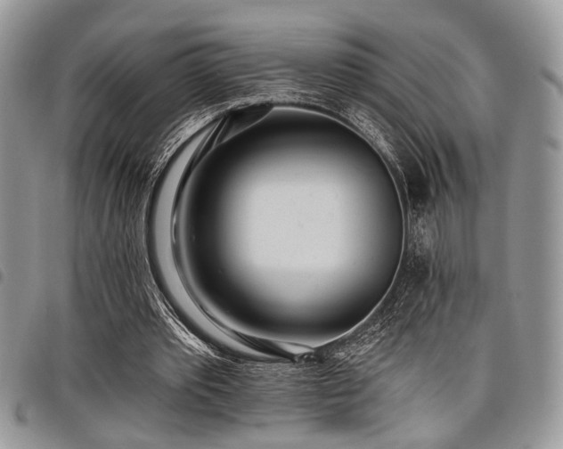 X0000098030389200803281413