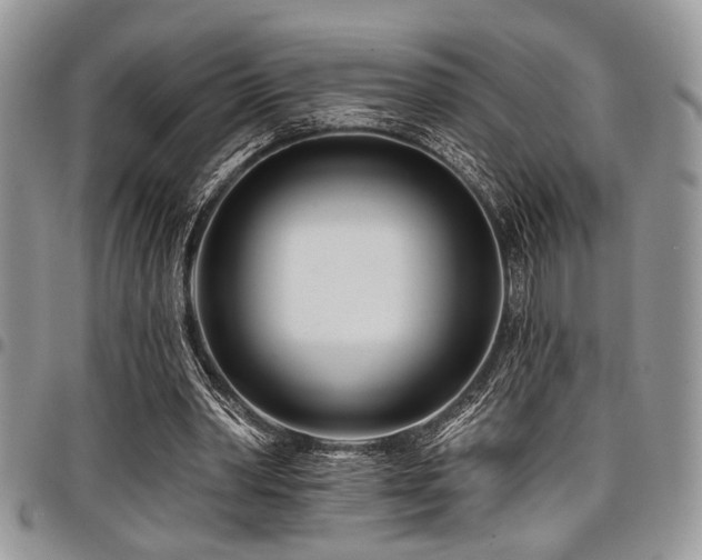 X0000098030390200803281413