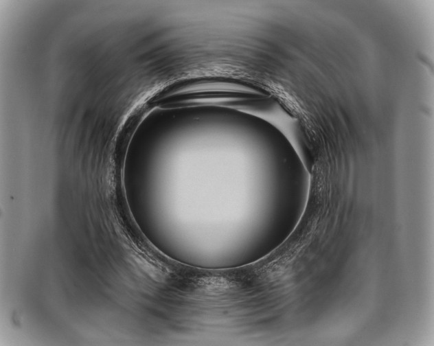 X0000098030392200803281413