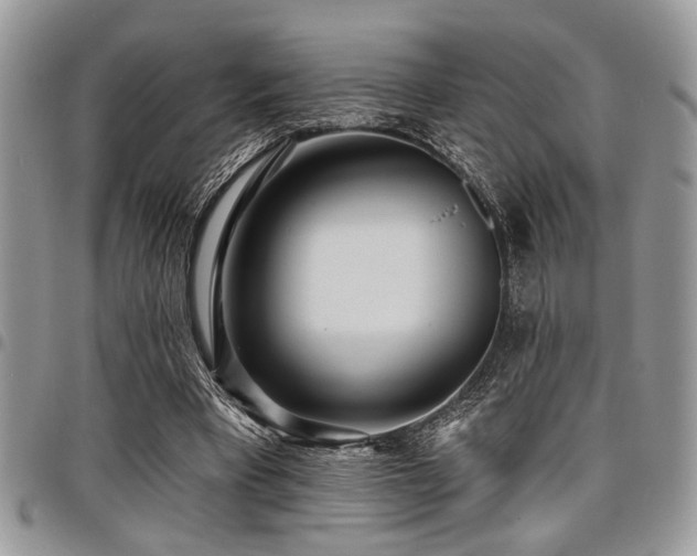 X0000098030393200803281413